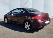 Peugeot 307 24