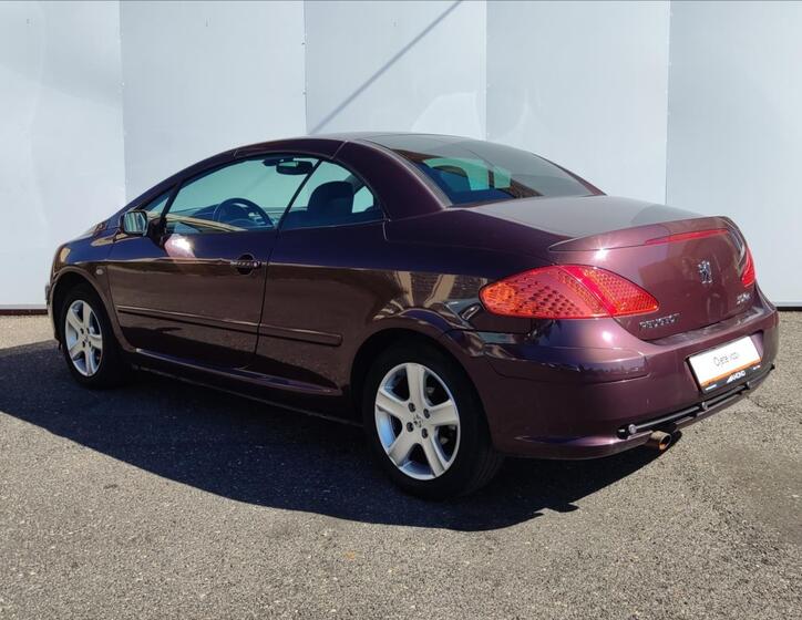Peugeot 307 24