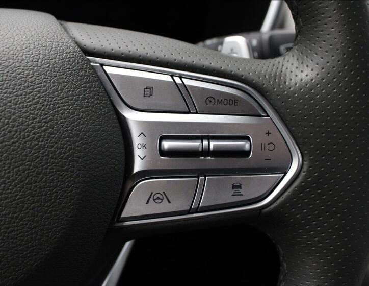 Hyundai Santa Fe 19