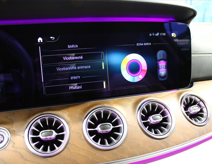 Mercedes-Benz AMG GT 29