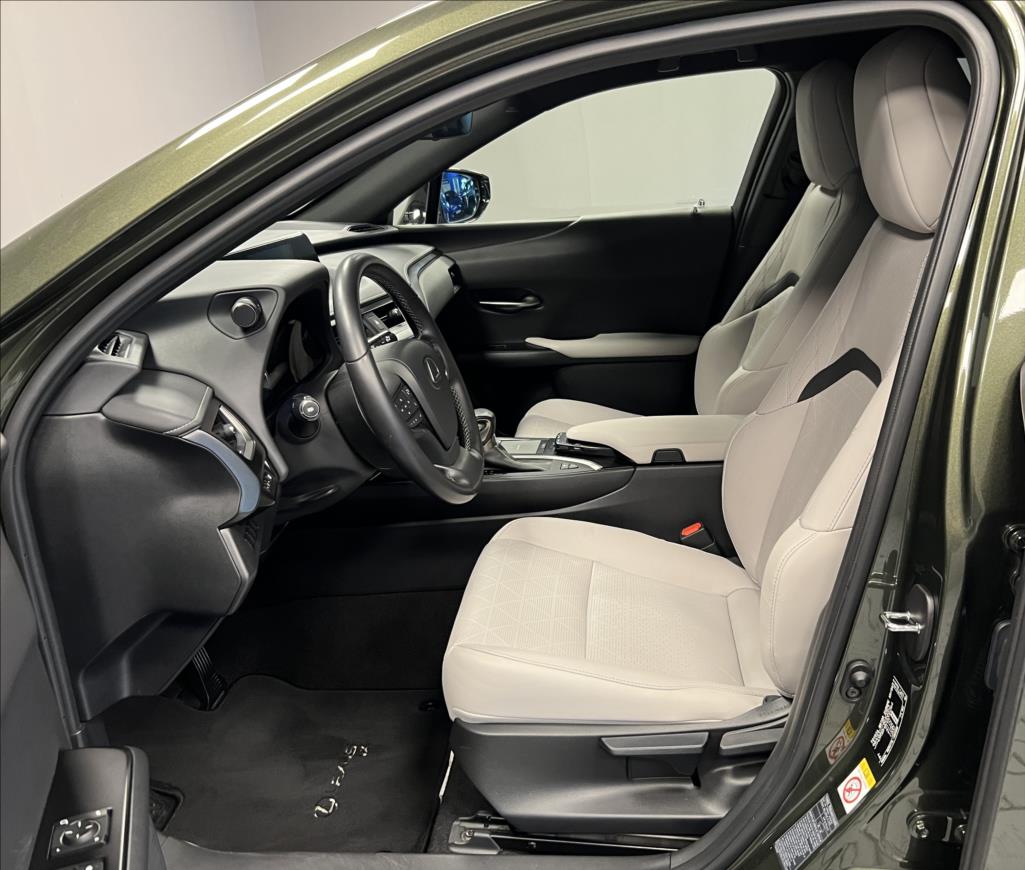 Lexus UX 250h