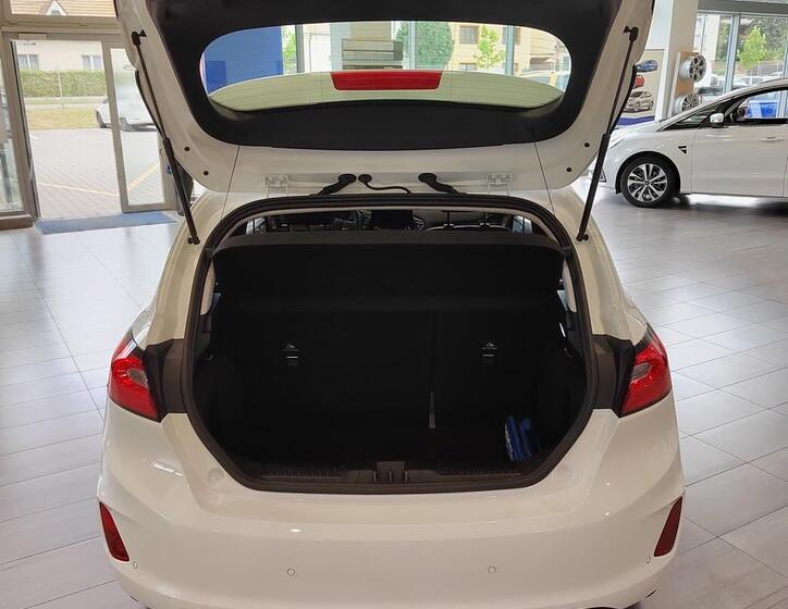 Ford Fiesta 17