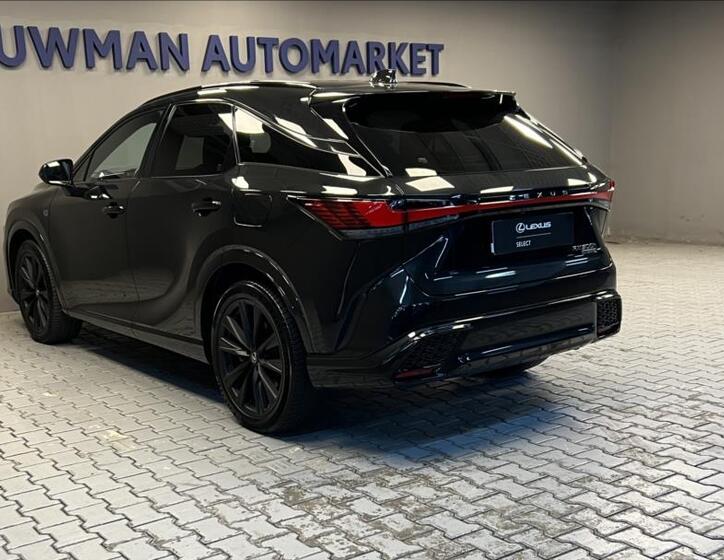 Lexus RX 500h 13