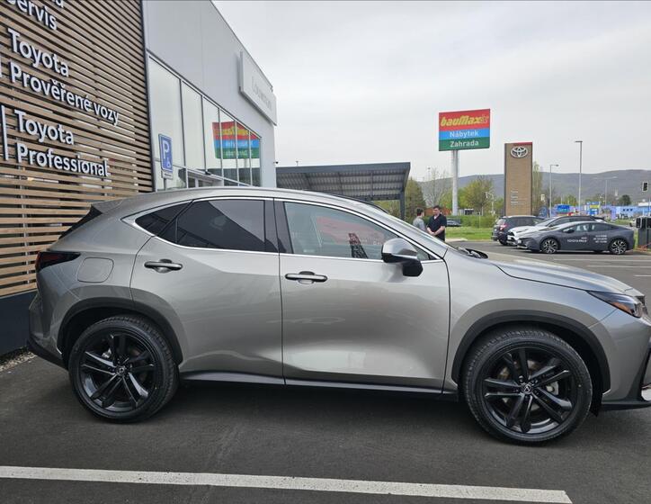 Lexus NX 450h plus 21