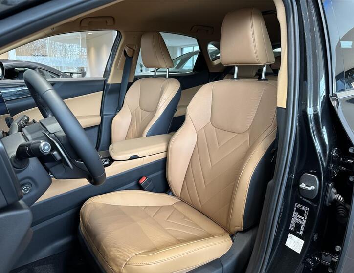 Lexus NX 450h plus 10