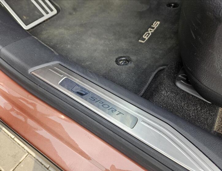 Lexus RX 500h 21