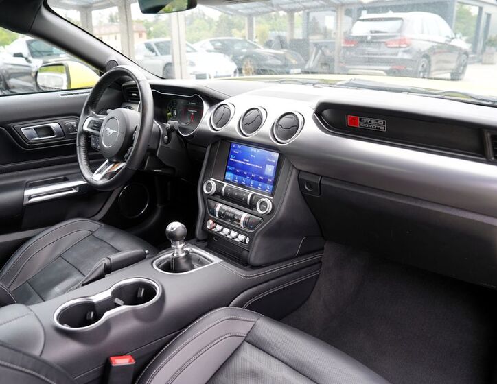 Ford Mustang 24