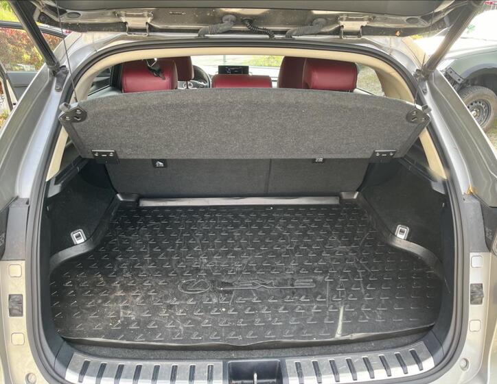 Lexus NX 300h 11