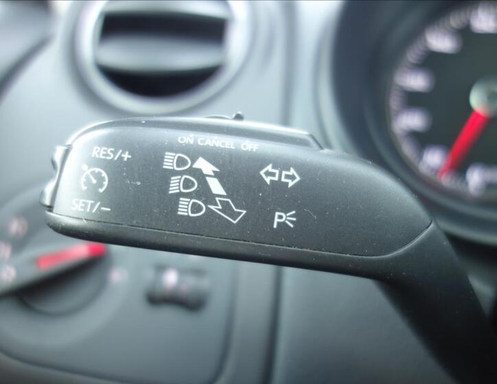 Seat Ibiza 29
